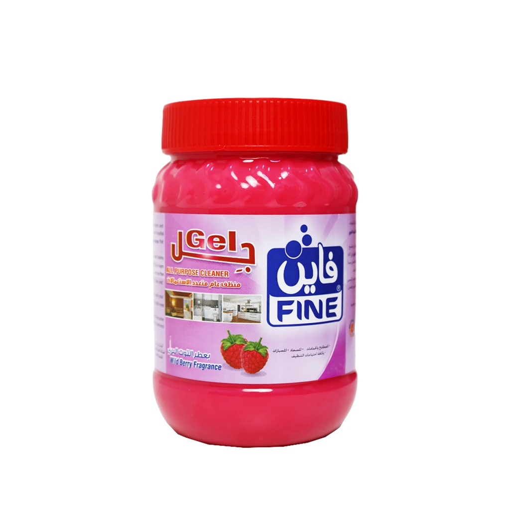 جل ارضيات فاين توت بري  1كغم *12